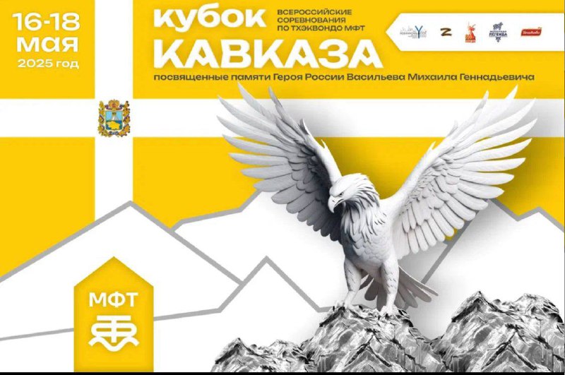 В Невинномысске пройдут всероссийские соревнования по тхэквондо МФТ «Кубок Кавказа».