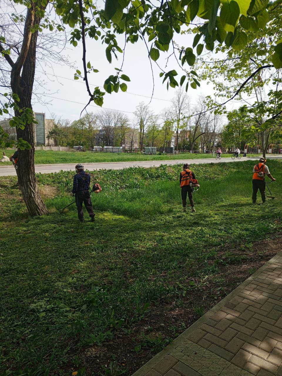 Коммунальщики Невинномысска проводят в городе покос травы.