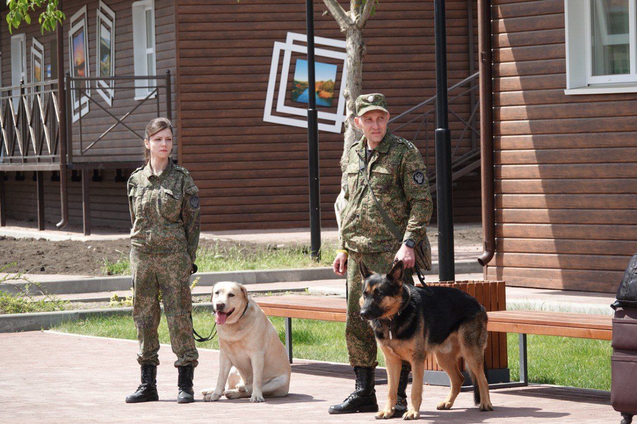 Белгородских детей в невинномысской «Гренаде» посетили кинологи.